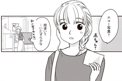 エコー写真？