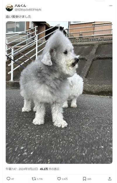 追い風を受けました▶頭の後ろの毛が可愛い！（⇒次へ）