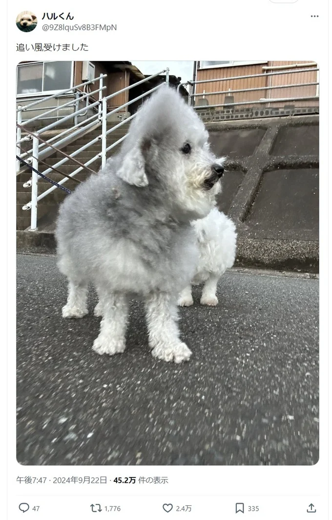 追い風を受けました▶頭の後ろの毛が可愛い！（⇒次へ）