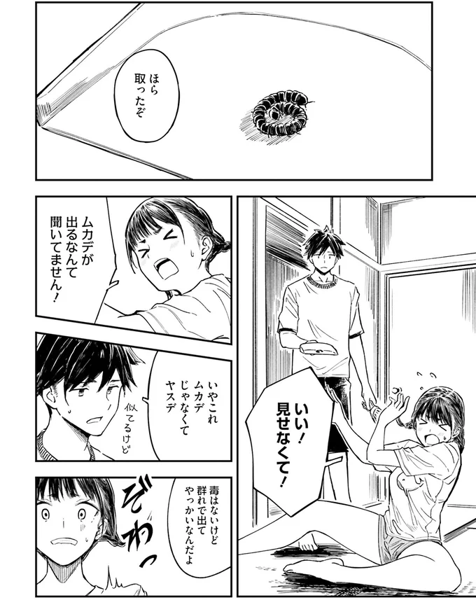 ムカデが出るなんて聞いてません！