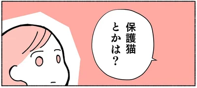 保護猫とかは？