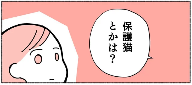 猫を飼いたという私に「保護猫は？」友人の言葉で知ったペットショップ以外の選択肢／ねこ活はじめました（1）