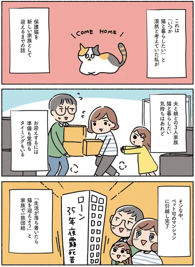 ペット可のマンションに引っ越し完了