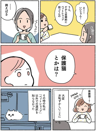 保護猫…？