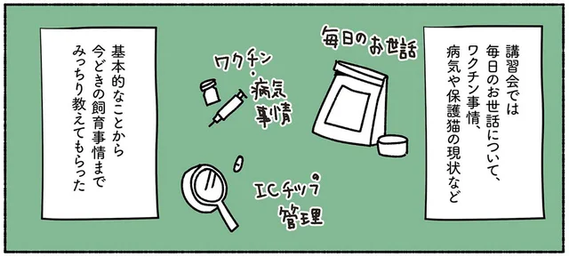 夫婦で保護猫講習会へ。飼い主と猫にとって必要な情報をみっちり学習／ねこ活はじめました（3）