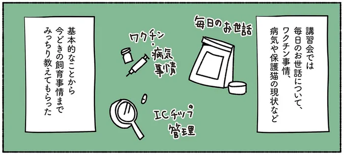 夫婦で保護猫講習会へ。飼い主と猫にとって必要な情報をみっちり学習／ねこ活はじめました（3）