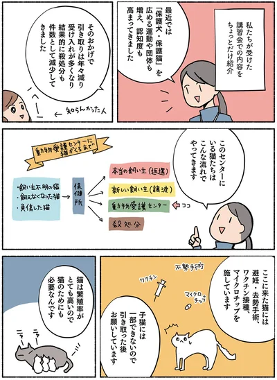 猫のためにも必要なんです