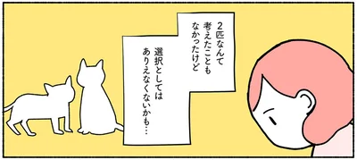 選択としてはありえなくないかも…