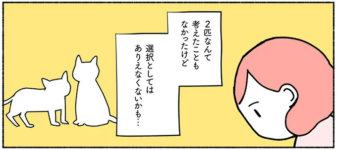 選択としてはありえなくないかも…