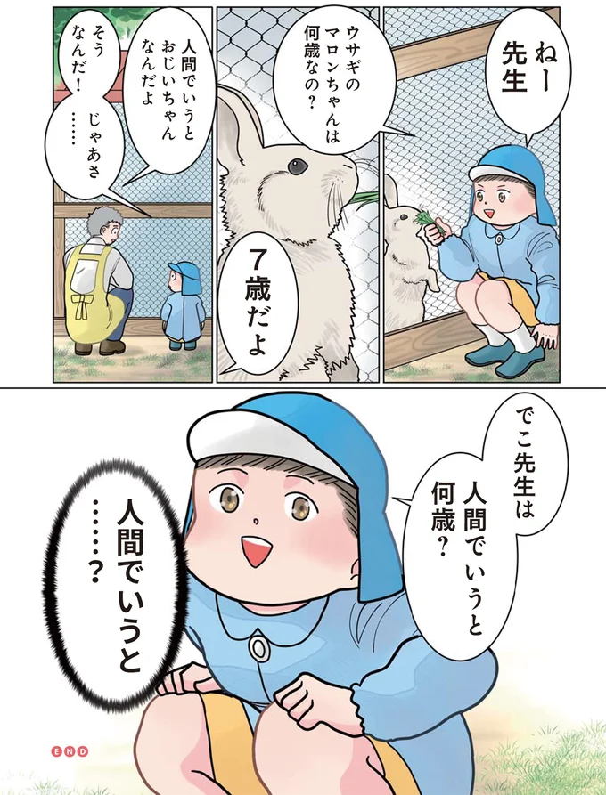 先生は人間でいうと何歳？