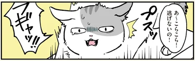 こらこら！逃げないの！