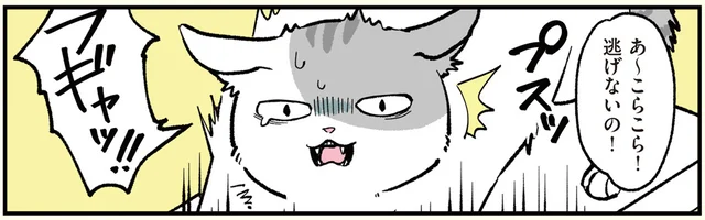 「こらこら、逃げないの！」猫になった男が先輩に連れて行かれたのは動物病院!?／ブラック企業の社員が猫になって人生が変わった話（モフ田くんの場合）（2）