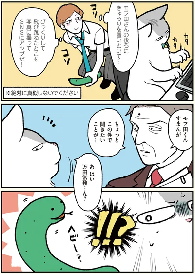 モフ田くんときゅうり