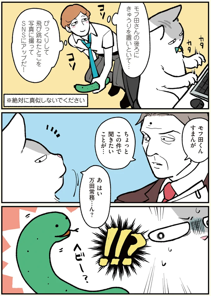 モフ田くんときゅうり