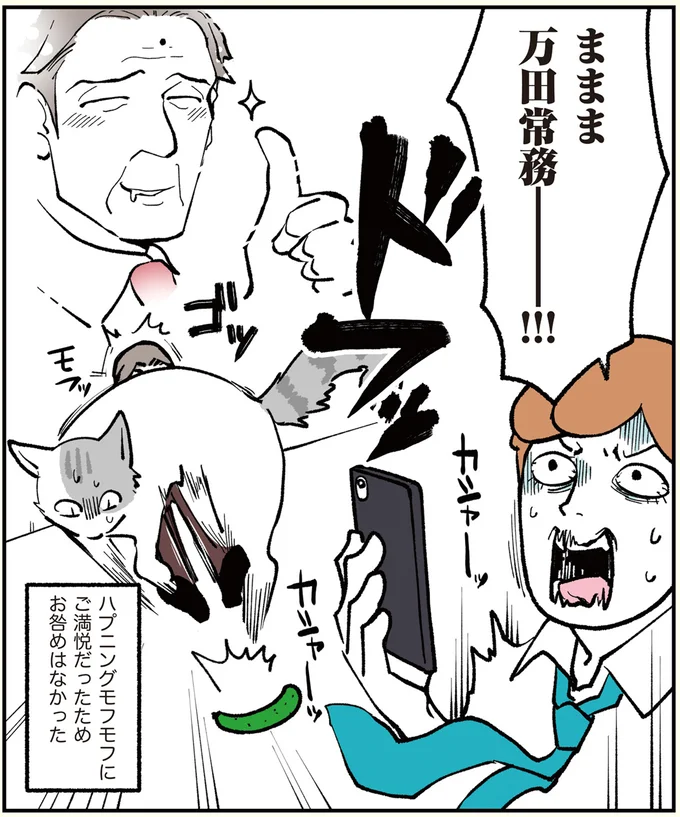 ハプニングモフモフのためお咎めなし