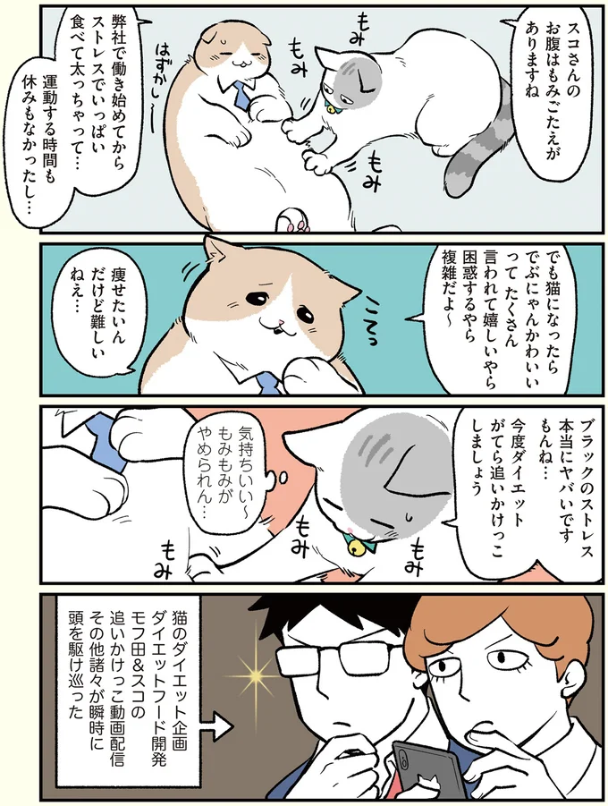 モフ田＆スコの動画配信その他諸々