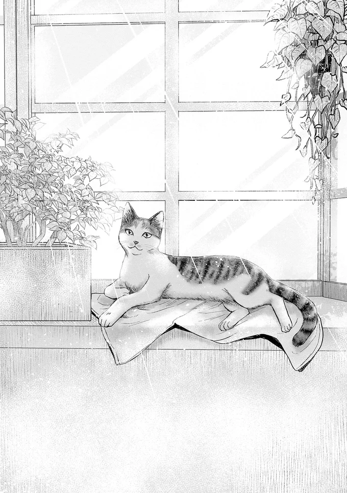 『猫語の教科書』より
