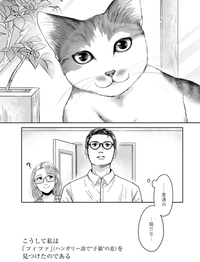 『猫語の教科書』より