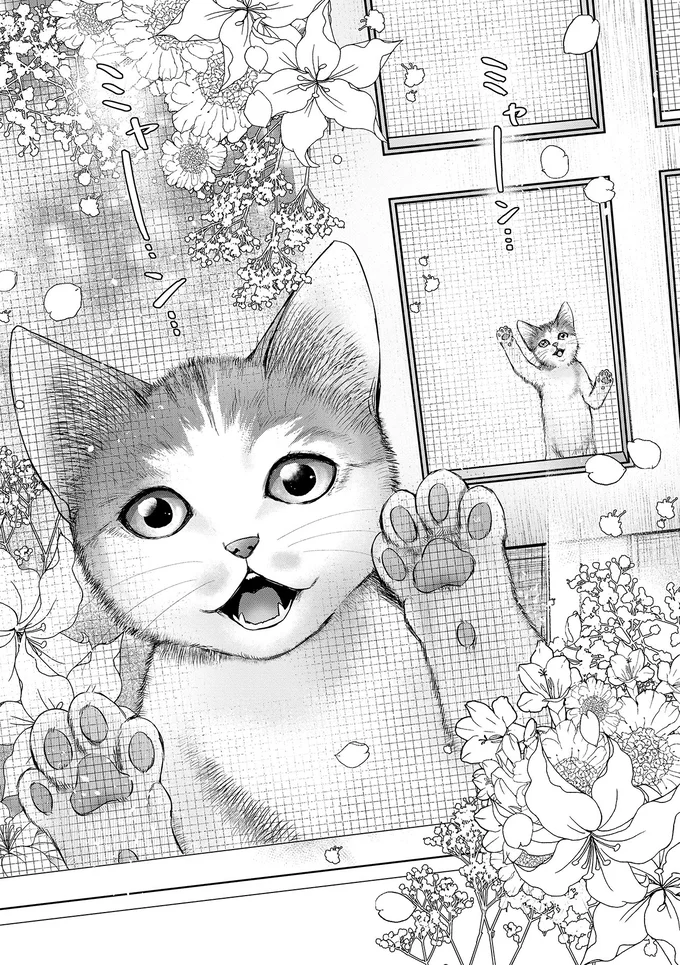 『猫語の教科書』より