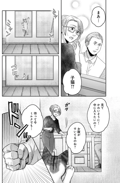 『猫語の教科書』より