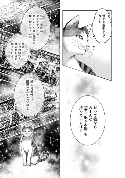 『猫語の教科書』より