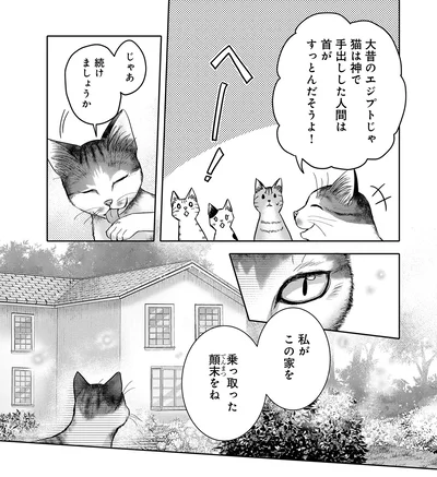 『猫語の教科書』より