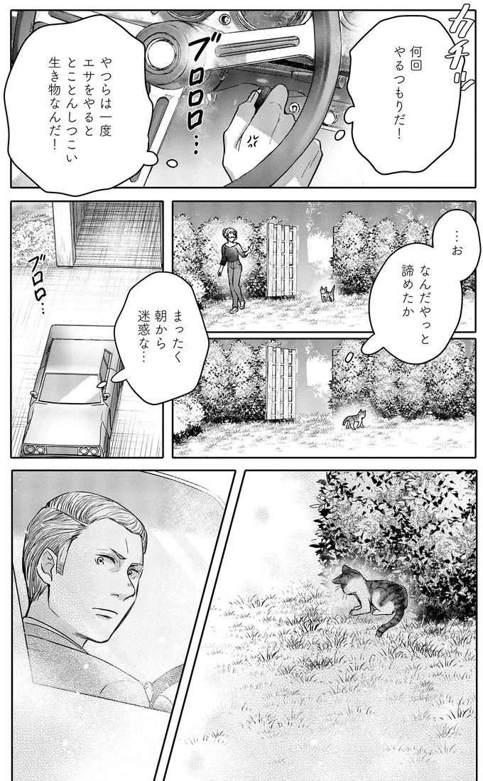『猫語の教科書』より