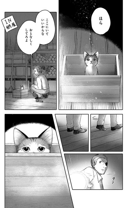 『猫語の教科書』より