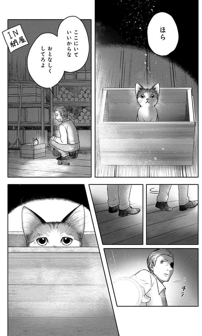 『猫語の教科書』より