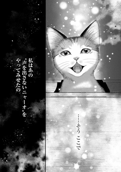 『猫語の教科書』より