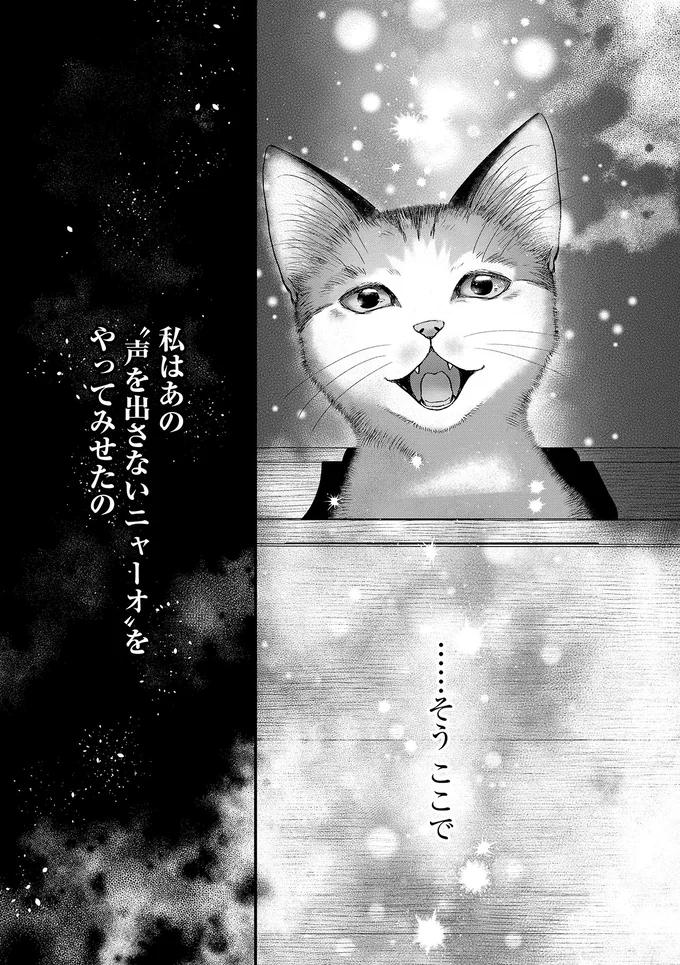 『猫語の教科書』より