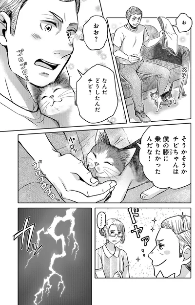 『猫語の教科書』より