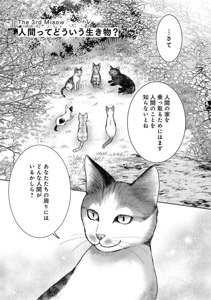 『猫語の教科書』より