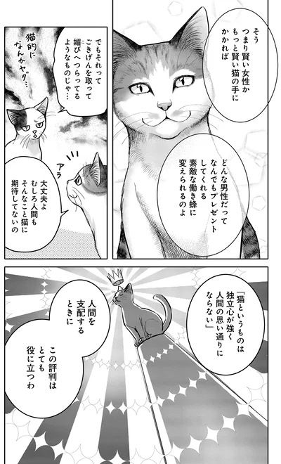 『猫語の教科書』より