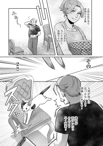 『猫語の教科書』より