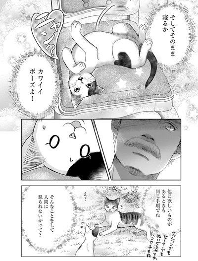 『猫語の教科書』より