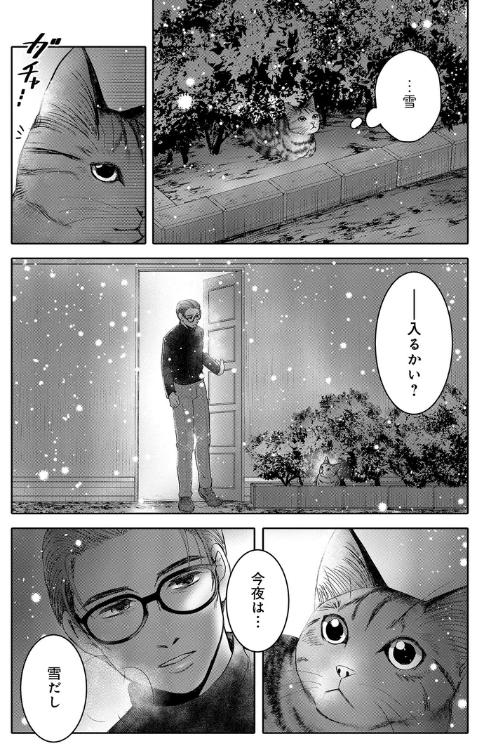 『猫語の教科書』より
