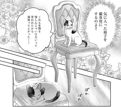 気に入った椅子を猫専用に！