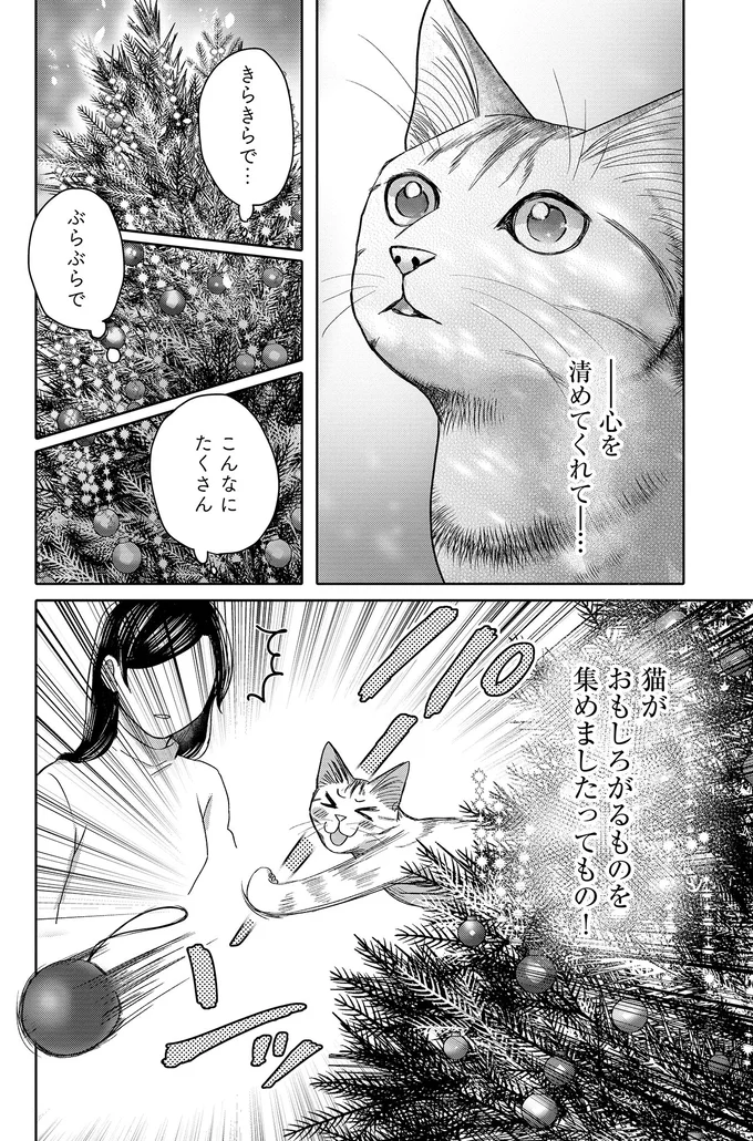 こんなにたくさん…