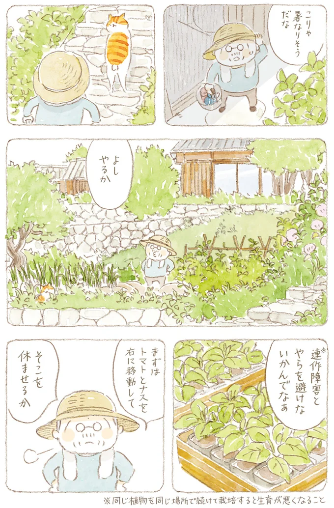 『ねことじいちゃん8』より