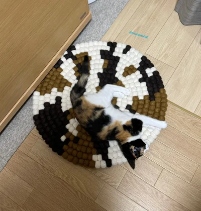 床に敷かれた三毛猫柄のチェアパッド▶チェアパッドをじっくり見てみると…（⇒次へ）