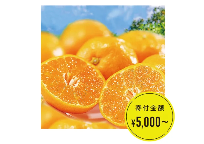 濃厚有田みかん