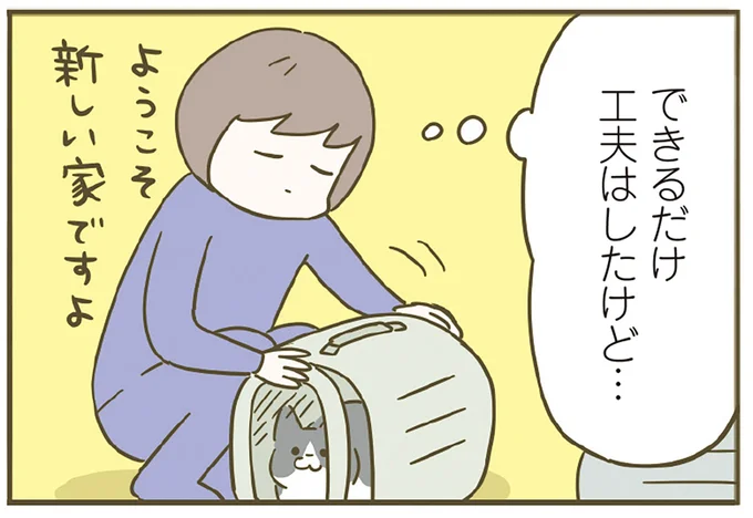 新しい家ですよ