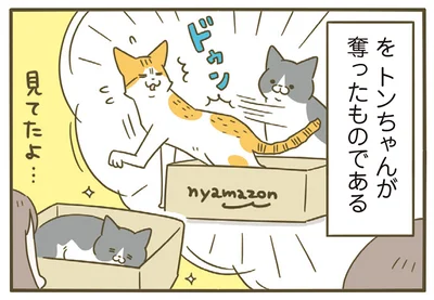 見てたよ…