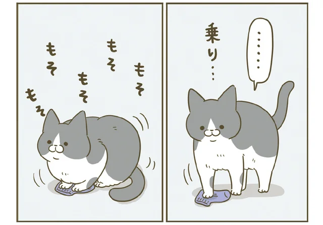 乗り乗り、もそもそ。飼い主が落とした靴下の上で困惑している猫／うちの猫がまた変なことしてる。7（6）