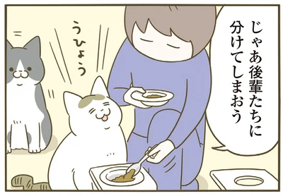 分けてしまおう