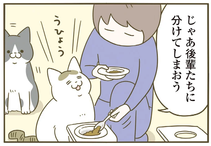 分けてしまおう