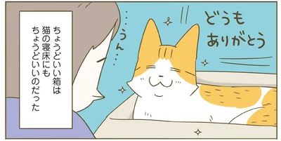 ちょうどいい箱