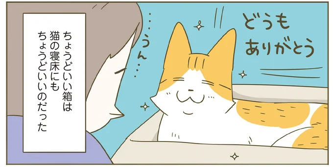 ちょうどいい箱