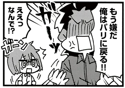もう嫌だ俺はパリに戻る！！
